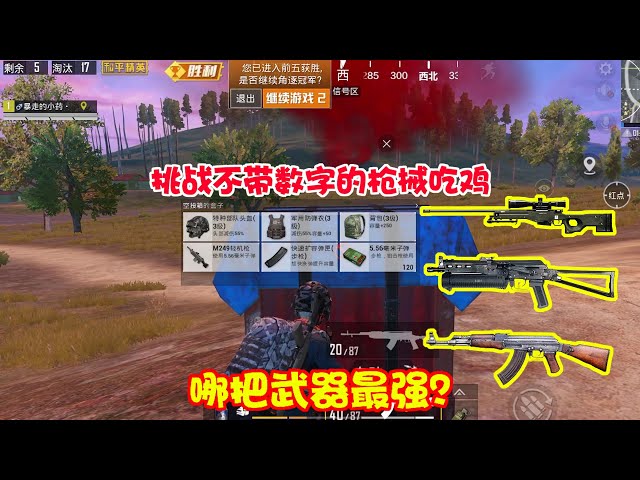 和平精英: 挑战用不带数字的武器吃鸡,猜猜我会选择哪把枪?【暴走的小药】